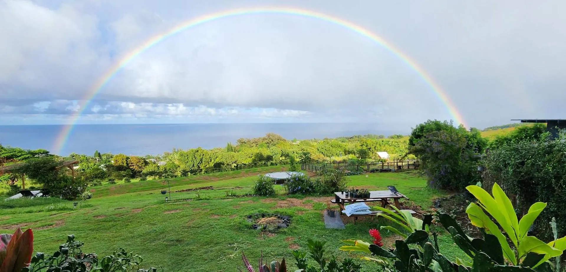 Farm stay Guesthouse Sunrise Farmstay With 180 Degrees Ocean Views Papaaloa  United States