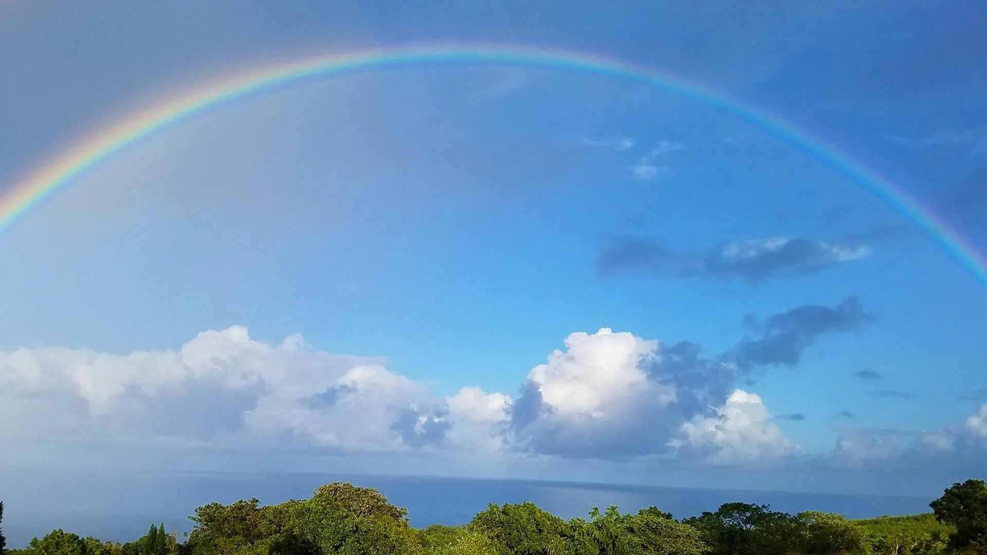 Guesthouse Sunrise Farmstay With 180 Degrees Ocean Views Papaaloa  Papaaloa (Hawaii)