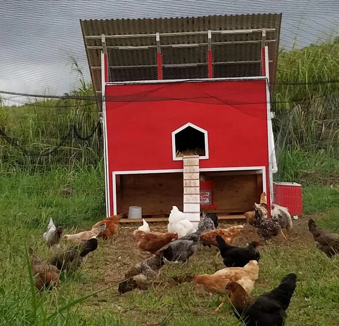 Farm stay Guesthouse Sunrise Farmstay With 180 Degrees Ocean Views Papaaloa