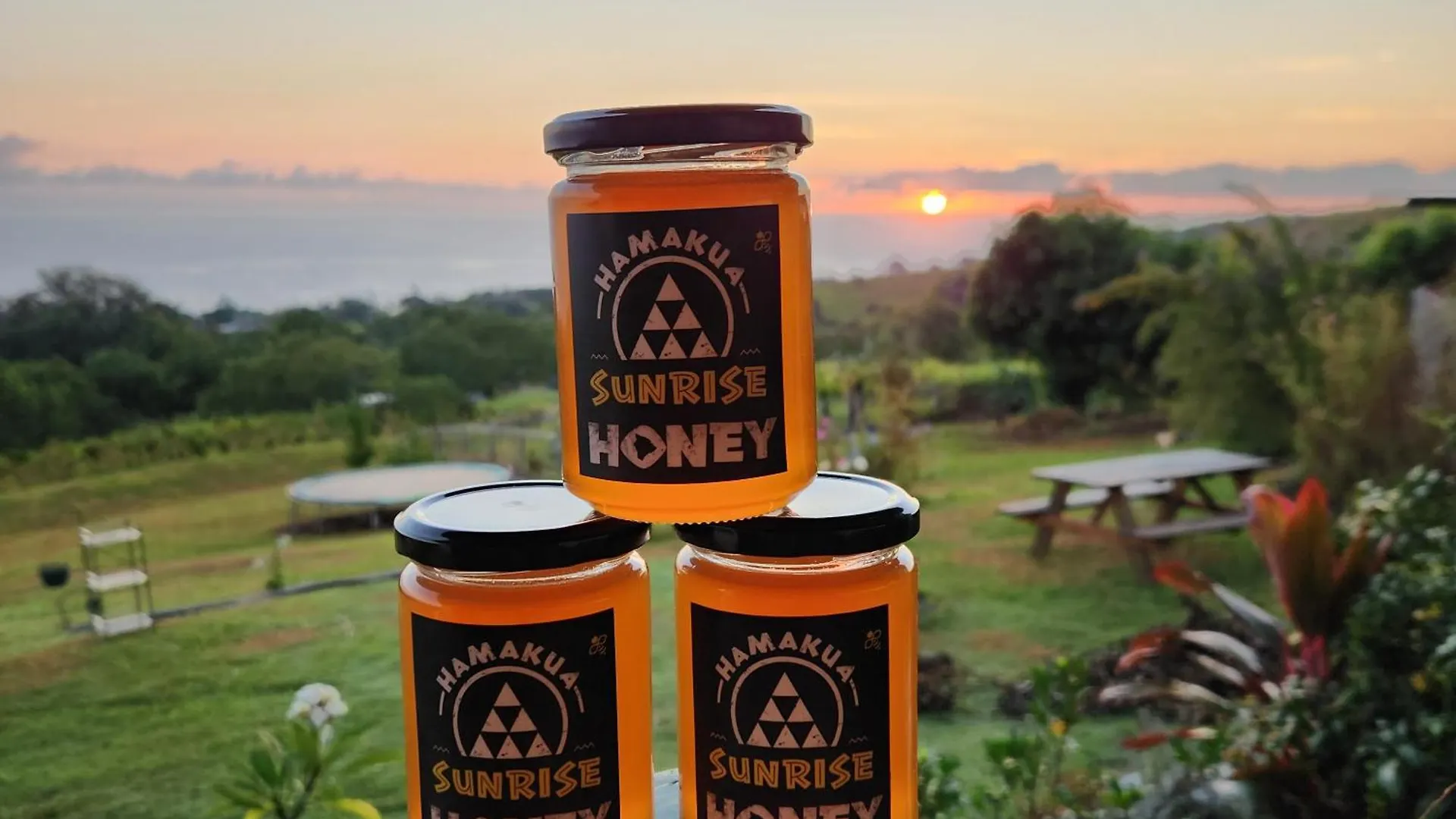 Guesthouse Sunrise Farmstay With 180 Degrees Ocean Views Papaaloa  Farm stay